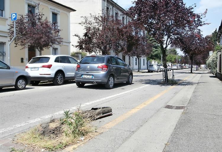 Piante tagliate,  Comune senza soldi
 Ci pensano i cittadini di via Diaz