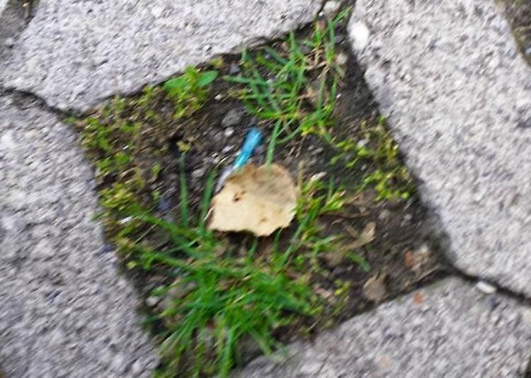 Siringhe in via Giuseppina
ripuliti parcheggio e area gioco