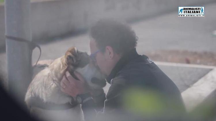 Tu lo abbandoni lui ti perdona, chi è la bestia? Lo spot degli Animalisti italiani