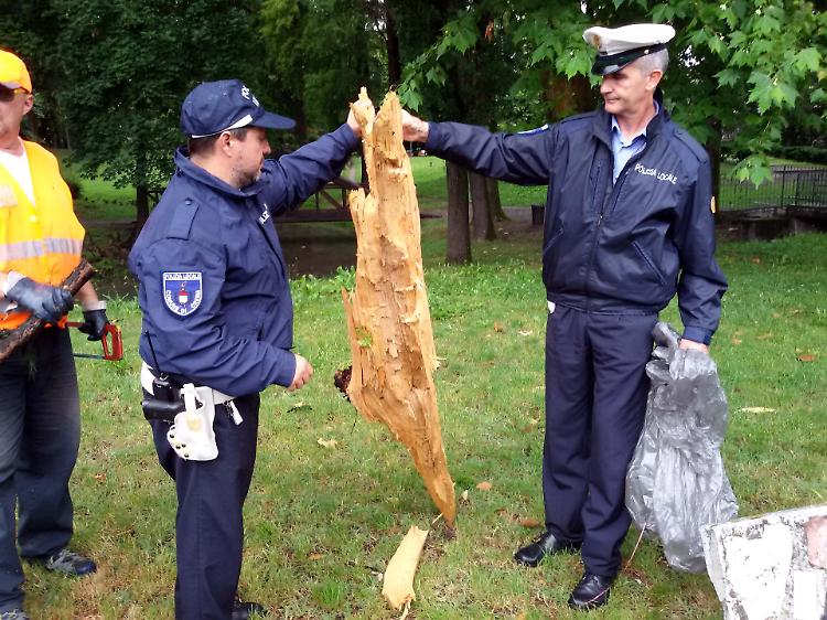 Fulmine colpisce albero, 62enne ferita alle gambe