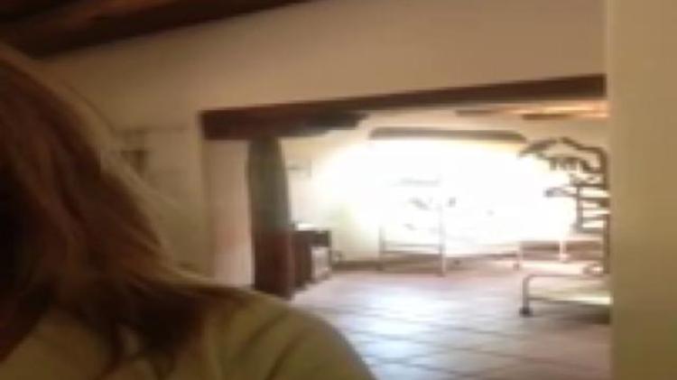 Lo show del pappagallo blu è tutto per la sua "mamma"
