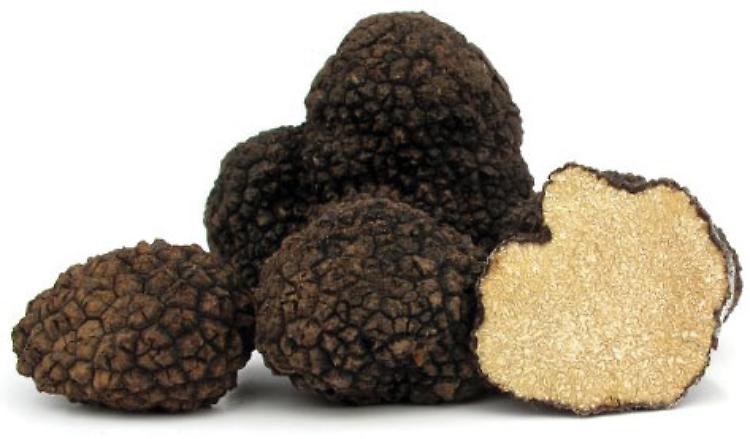 Festa d’Estate del Tartufo dell’Appennino domenica 28