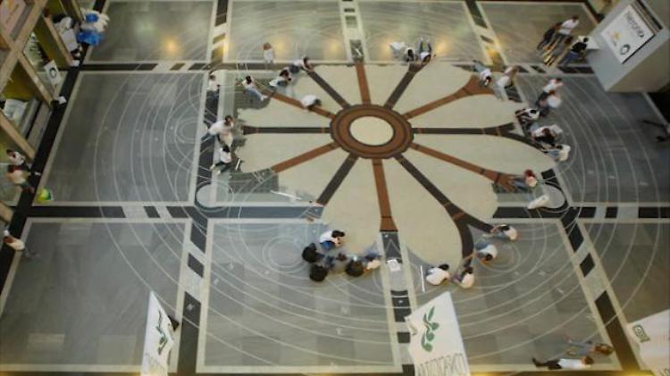 Vercelli: il più grande mandala al mondo è di riso