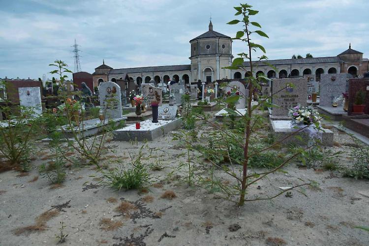 Erba alta al cimitero: diserbo o no?