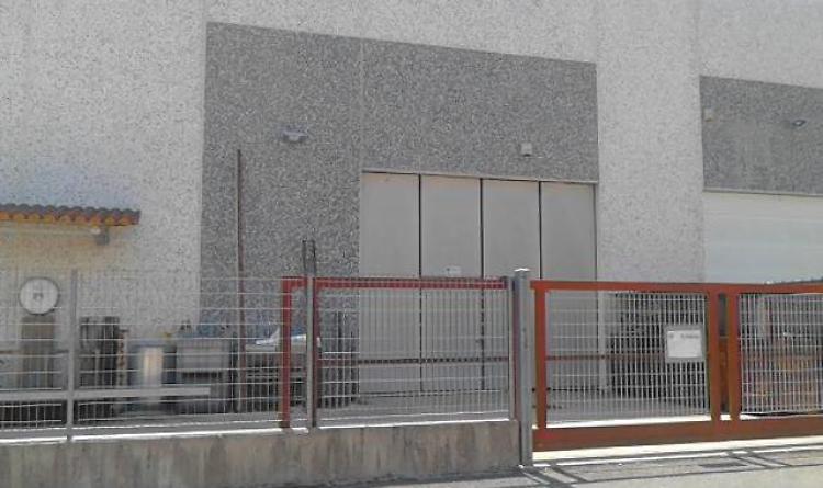 Ladri in azienda, caos e rabbia