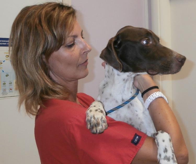 Colpo dal veterinario: rubati farmaci, macchinari e un cane
