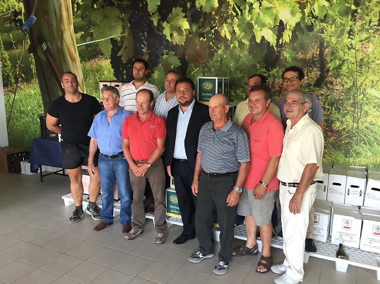 Lambrusco mantovano, Fava: 'Serve progetto unico per export'