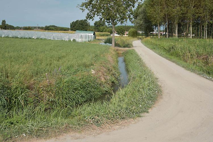 Ritrovata a Fossacaprara in buone condizioni la bimba di 8 anni scomparsa