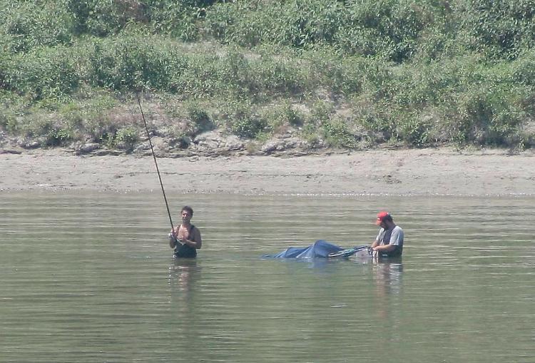 Pesca professionale sospesa nel fiume Po
