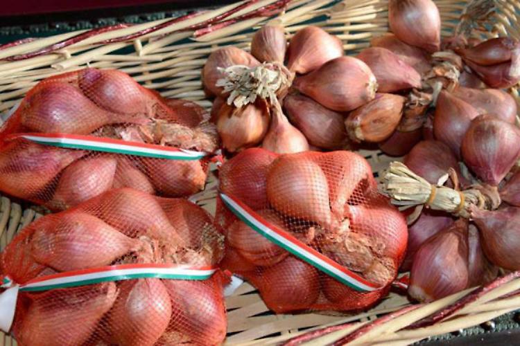 Sagra dello scalogno 2018, tutto pronto a Castelvetro Piacentino