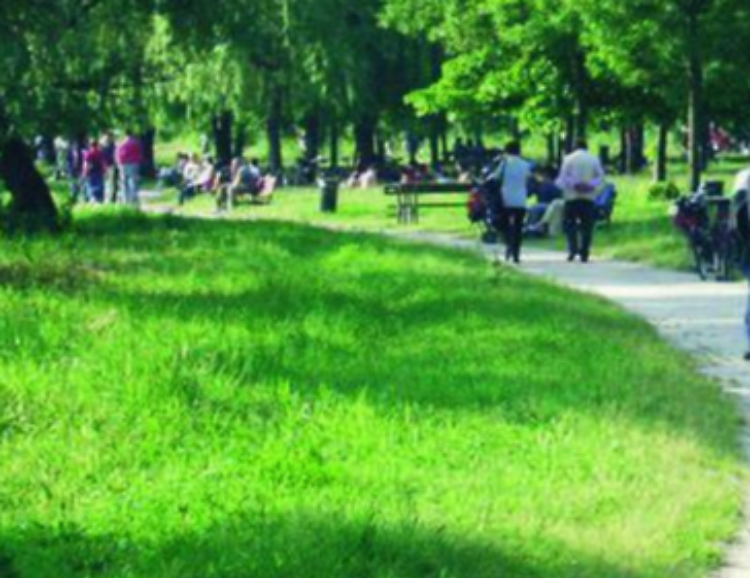 Un nuovo gioco inclusivo sarà installato al Parco al Po