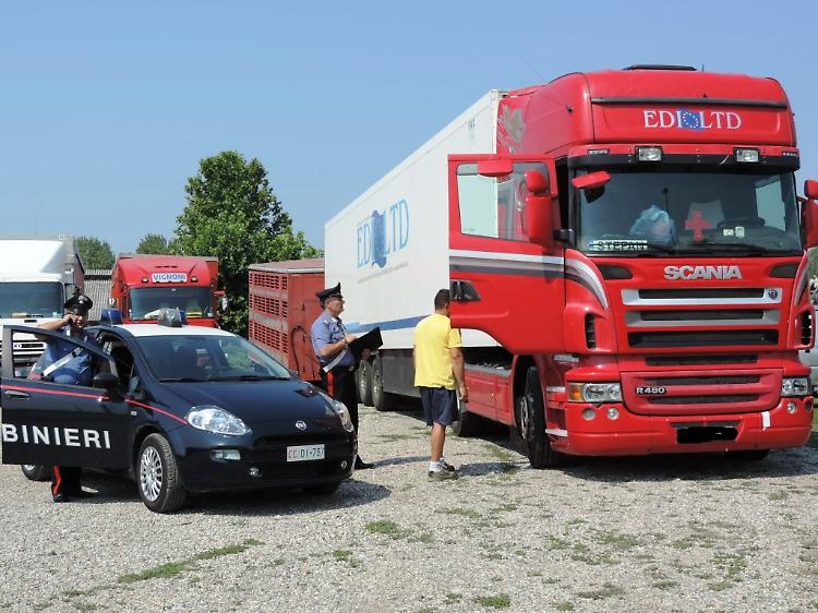 Truffa ad una azienda alimentare, arrestato un camionista turco