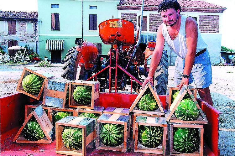 Angurie quadrate, brevetto: Fava pronto a incontrare Feroldi