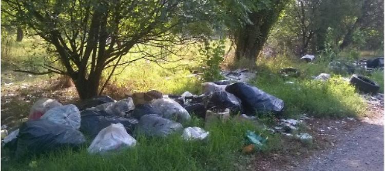 Discarica selvaggia in via Riglio