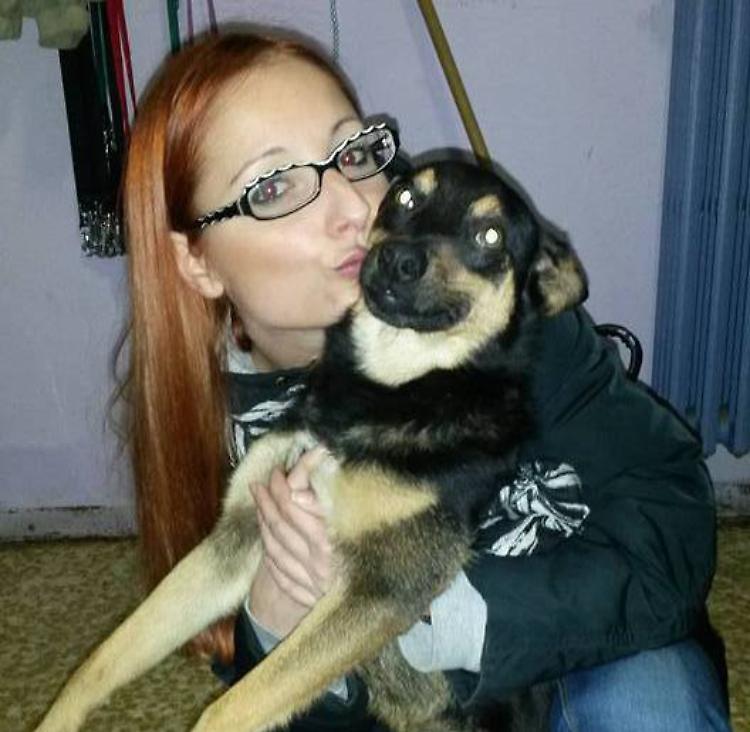 Polpette avvelenate, muoiono cani e gatti