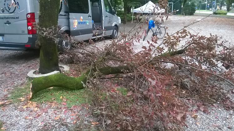 Verde 'pericoloso',  serie di interventi in arrivo