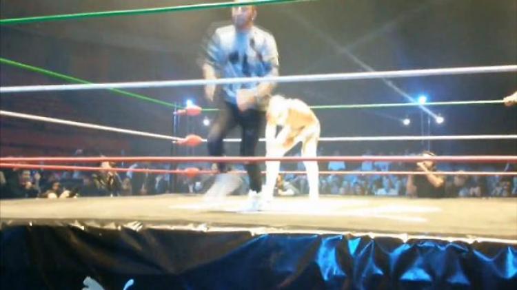 Hamilton versione wrestler: sul ring per promuovere il Gp del Messico