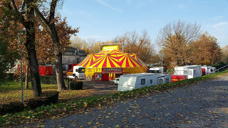 Arriva il circo, animalisti sul piede di guerra