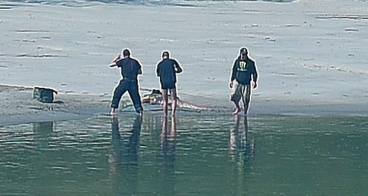 Pesca di frodo, in due nei guai: sequestrati quintali di siluri