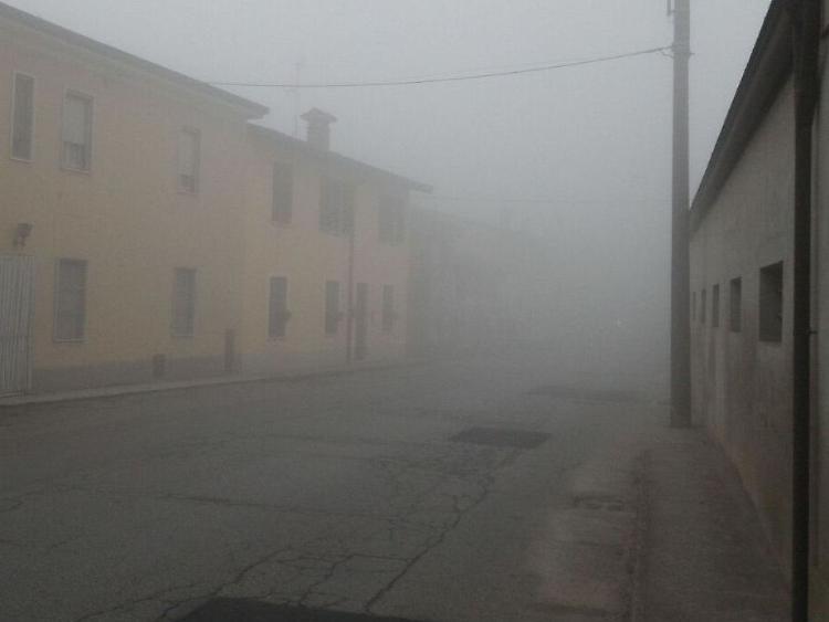 Si lava i capelli, arriva il ladro