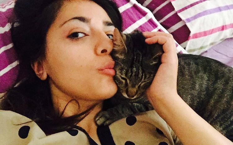 Siria, gattile in memoria di Ernesto