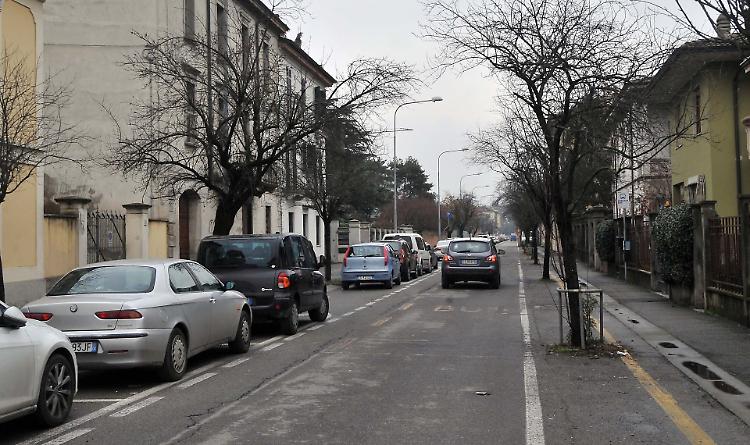 Intervento da 48mila euro, via gli 80 ciliegi giapponesi