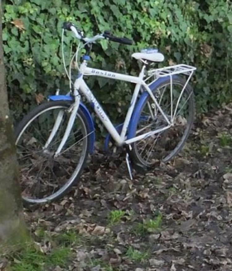 Cade dalla bici che la travolge