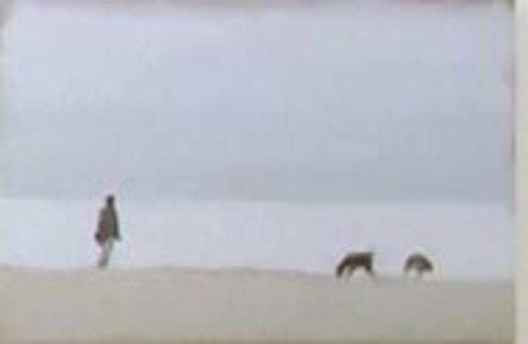 Il &lsquo;Mare ed altri racconti&rsquo;, Biagi espone al Triangolo