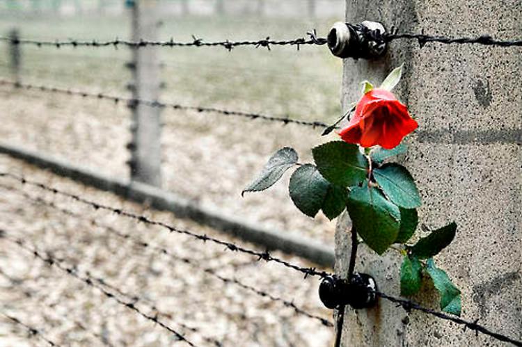 Giornata della Memoria:  Celebrazioni  a Crema