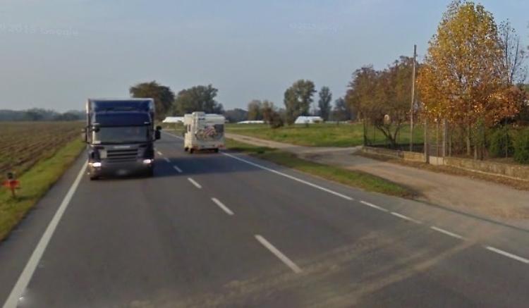 Mucche in fuga, strada bloccata