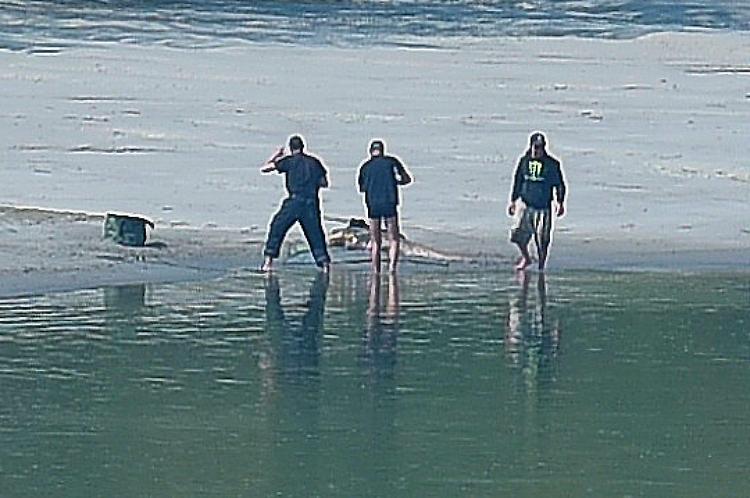 Sos bracconaggio, gli 'Amici della Golena' si potenziano