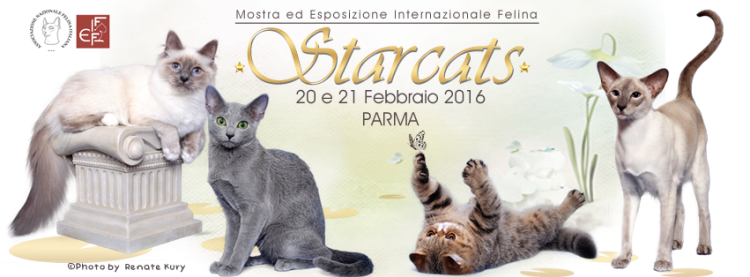 A Parma la Mostra e l'esposizione internazionale felina