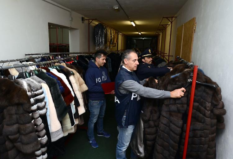 Trafugate pellicce per due milioni, tre arresti per estorsione