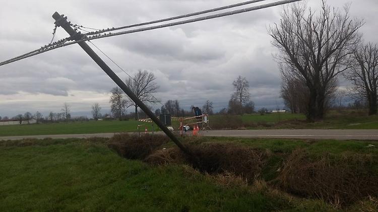La pioggia e le nutrie 'abbattono' i telefoni