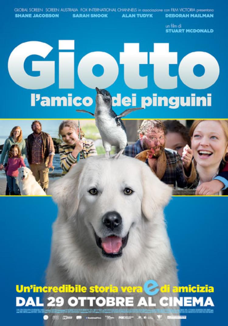 Giotto, l'amico dei pinguini 