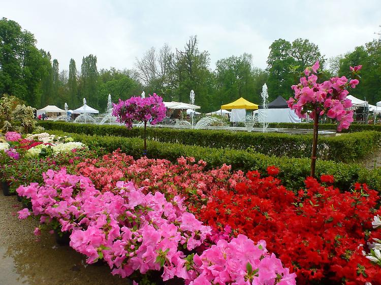 Nel segno del Giglio, la mostra mercato del giardinaggio di qualità