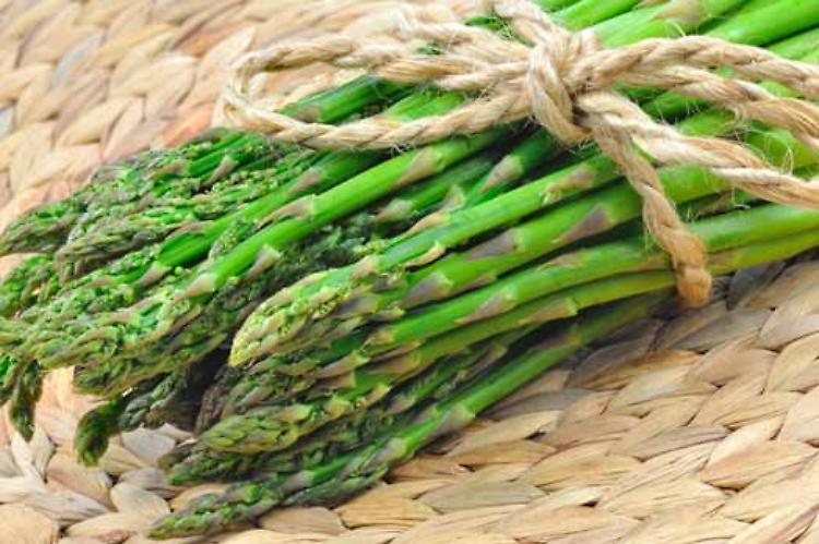 Rassegna gastronomica dell'asparago piacentino