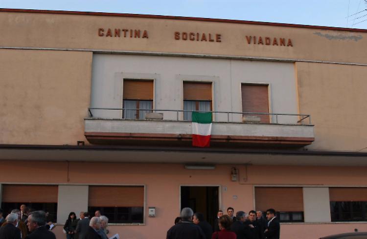 Fava: "Difendere la peculiarità del lambrusco viadanese"