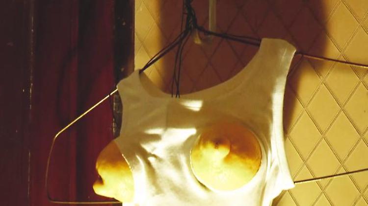 La bad girl Sarah Lucas e l'arte di provocare attraverso il corpo