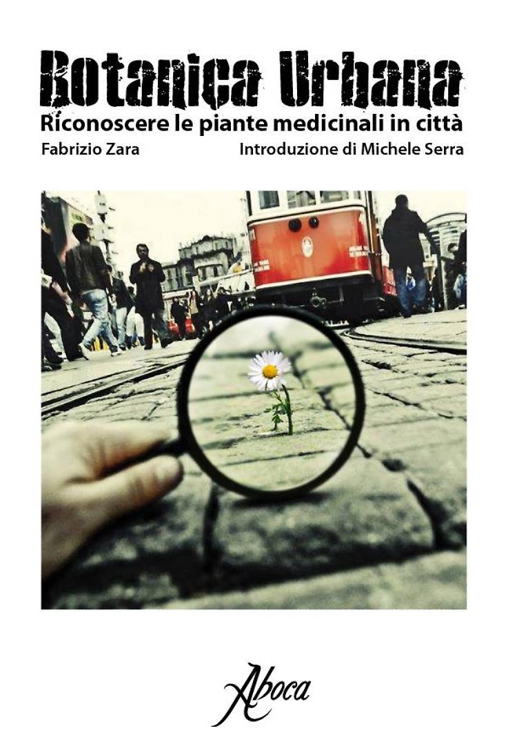 Botanica Urbana: riconoscere le piante medicinali in città
