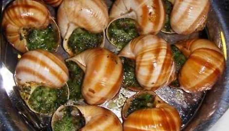 Festa della lumaca sabato 14 maggio