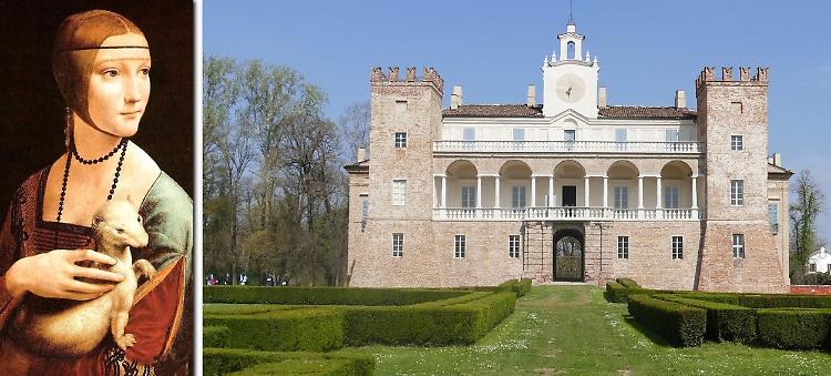 'Ma l'ermellino in realtà era un furetto'