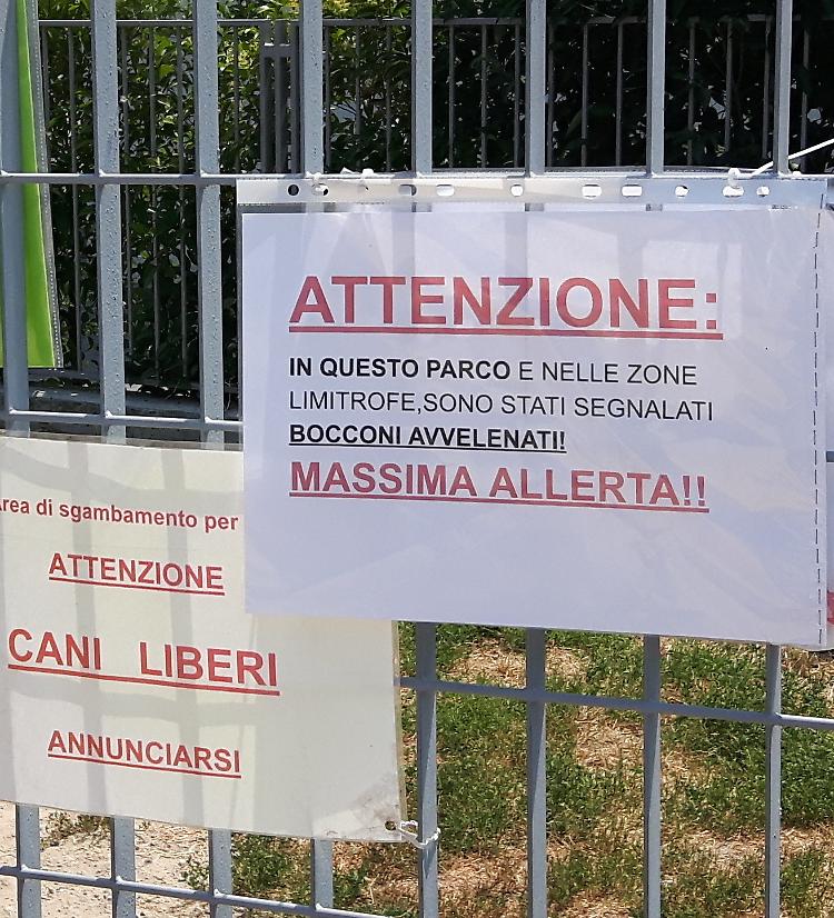 CANI AVVELENATI