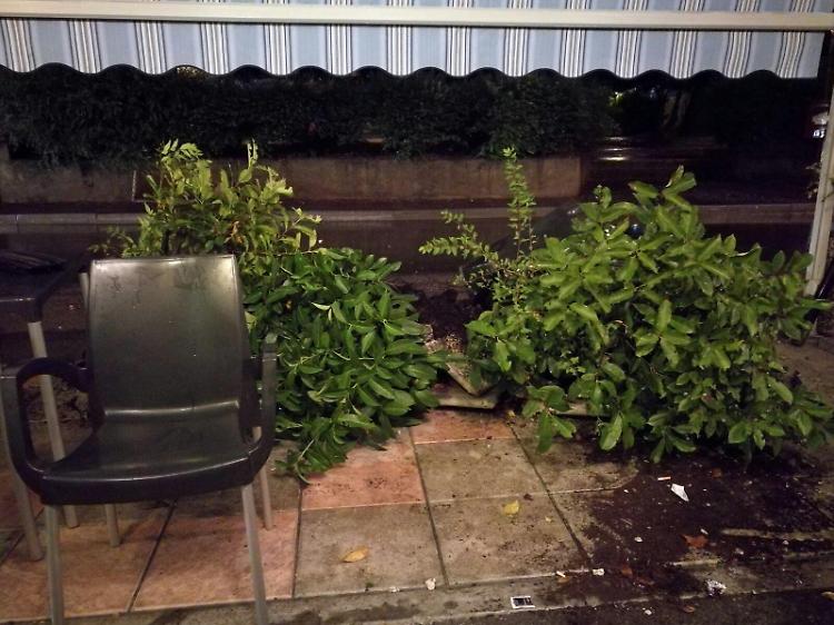 Auto piomba sul bar, clienti salvati dalle fioriere