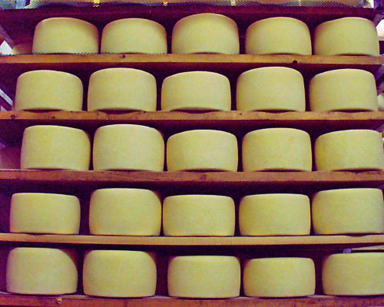 Pecorino Sardo DOP e Pecorino Sardo Dop Maturo