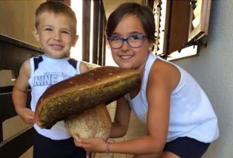Fungo porcino da 2,4 chili, record per un monticellese