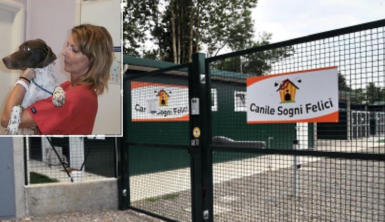 Cani abbandonati, è record