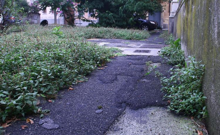 Sporcizia e degrado, monta la protesta in piazza Gallina