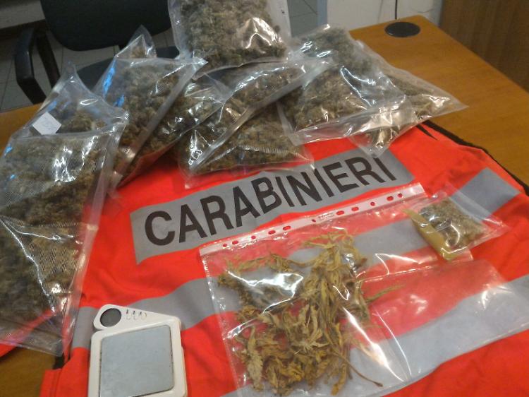 Detenzione e coltivazione di droga, arrestati marito e moglie