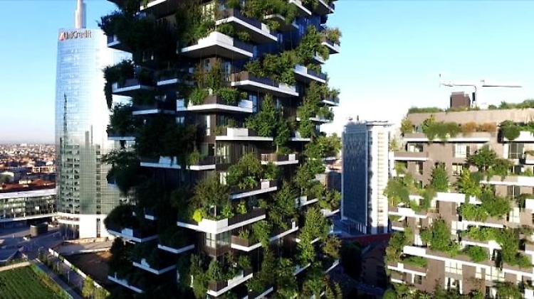 Buon compleanno Bosco verticale, il nuovo simbolo dello skyline di Milano nel mondo